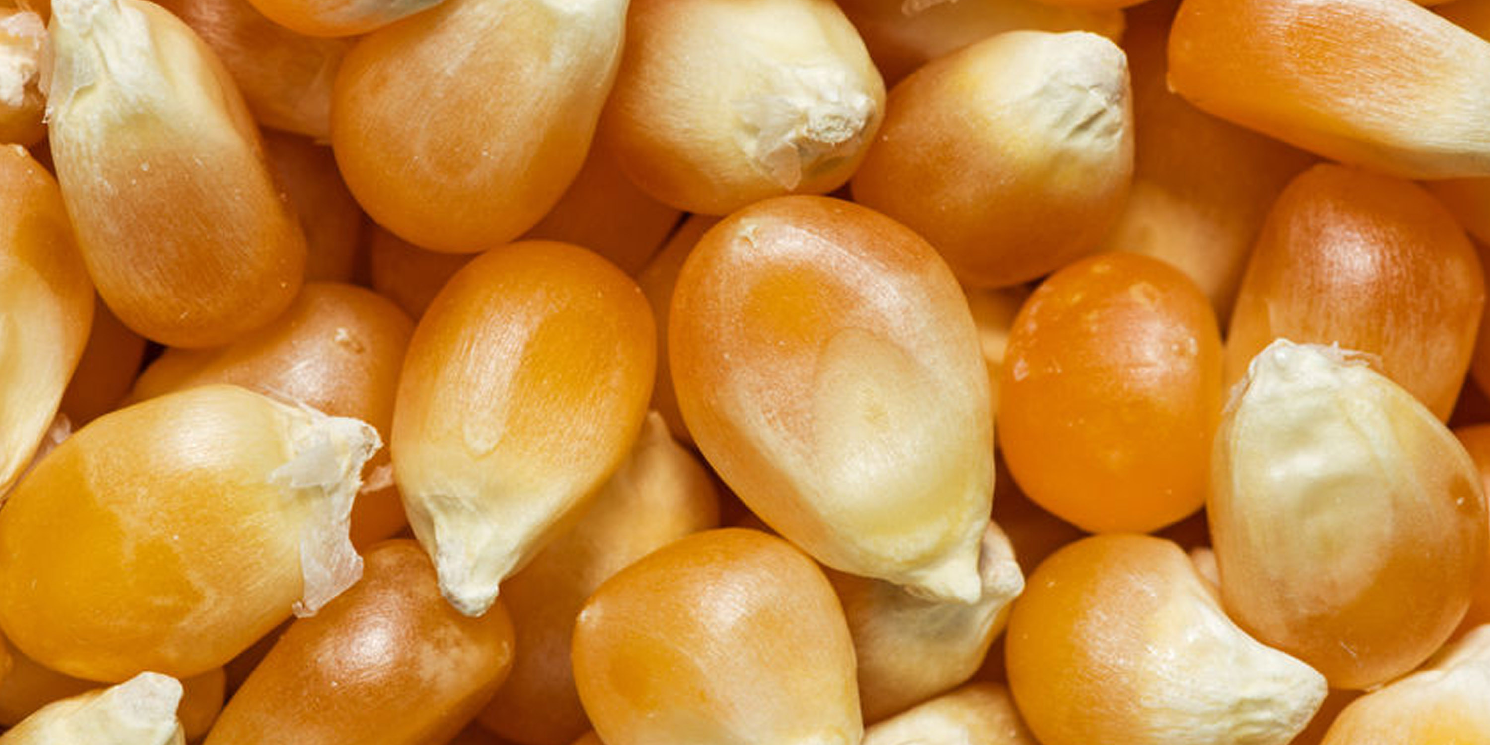 slider popcorn